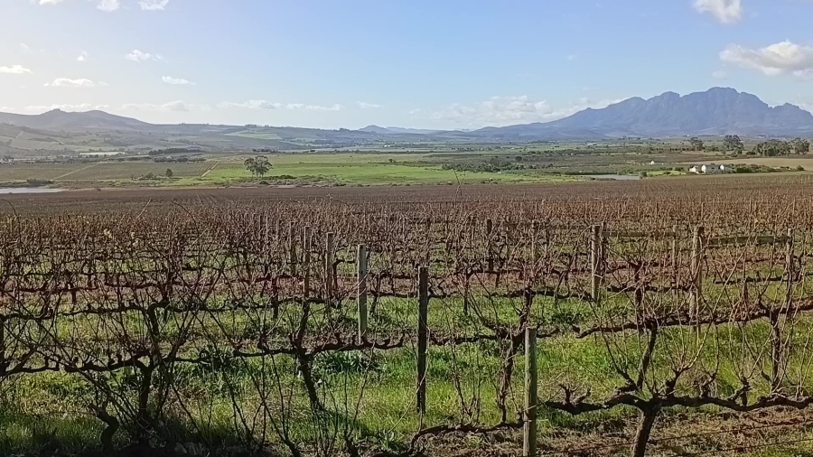 5 Bedroom Property for Sale in Stellenbosch Farms Western Cape